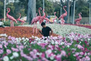 BIB: 
                            <button type="button" onclick="openModal(27344030)" class="btn btn-primary btn-sm float-right btn-popup" data-toggle="modal" data-target=".modal-high-quality">
                        <i class="fas fa-shopping-cart"></i> Add to Cart
                    </button>
                                            <button type="button" onclick="isThisMe(27344030, true)" class="btn btn-success btn-sm float-right btn-popup btn-isme hidden" data-toggle="tooltip" data-placement="bottom" title="นี่คือรูปของคุณใช่ไหม คลิกที่นี่เพื่อเอาเข้าอัลบั้ม">
                        <i class="fas fa-plus"></i> Add to album
                    </button>
                    <button type="button" onclick="isThisMe(27344030, false)" class="btn btn-warning btn-sm float-right btn-popup btn-isnotme hidden">
                        <i class="fas fa-ban"></i> Remove from album
                    </button>